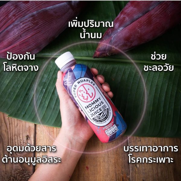 ชุดน้ำหัวปลีรสธรรมชาติและน้ำหัวปลีผสมโปยกั้ก 12 ขวด - Super Huaplee and Huaplee with Star Anise 12 bottles - Image 3