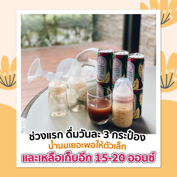 น้ำหัวปลี ซุปเปอร์หัวปลีพลัส 12 ขวด - Super Huaplee PLUS 12 bottles - Image 4